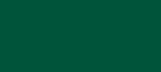 Color #00543A British Racing Green (background png icon) HTML CSS