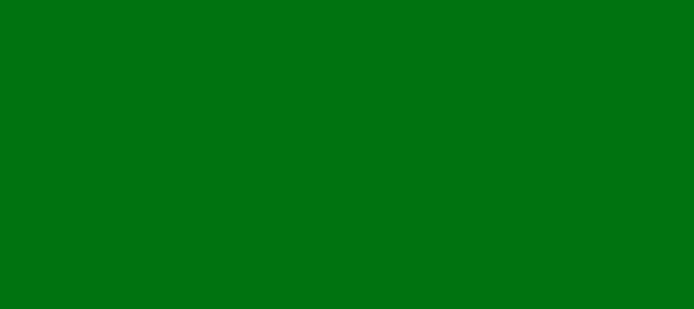 Color #007310 Green (background png icon) HTML CSS