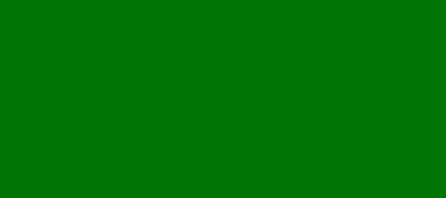 Color #007506 Green (background png icon) HTML CSS
