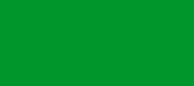 Color #00962C Pigment Green (background png icon) HTML CSS