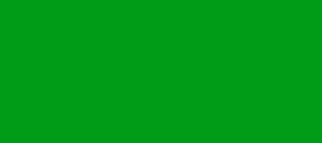 Color #009B17 Islamic Green (background png icon) HTML CSS