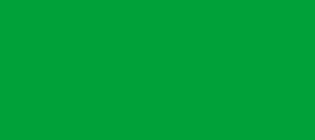 Color #00A139 Pigment Green (background png icon) HTML CSS