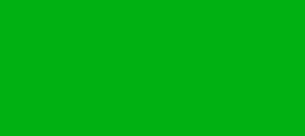 Color #00B112 Islamic Green (background png icon) HTML CSS