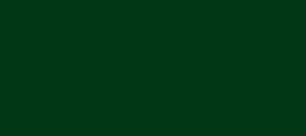 Color #013715 British Racing Green (background png icon) HTML CSS