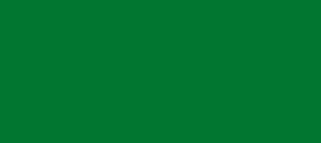 Color #017630 Dark Spring Green (background png icon) HTML CSS