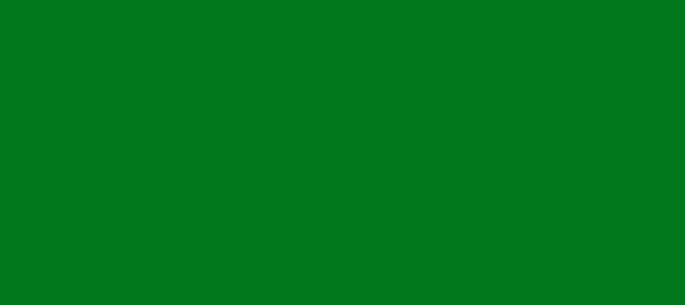 Color #01781C Green (background png icon) HTML CSS