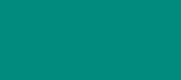 Color #018A7E Teal (background png icon) HTML CSS