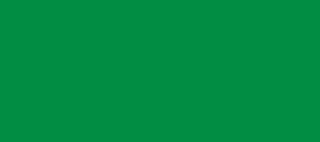 Color #018D43 Pigment Green (background png icon) HTML CSS