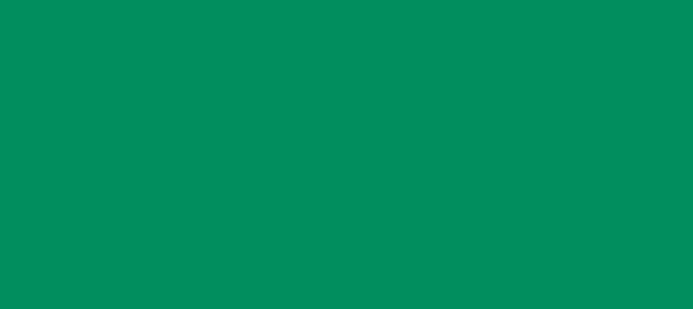 Color #018E5E Shamrock Green (background png icon) HTML CSS