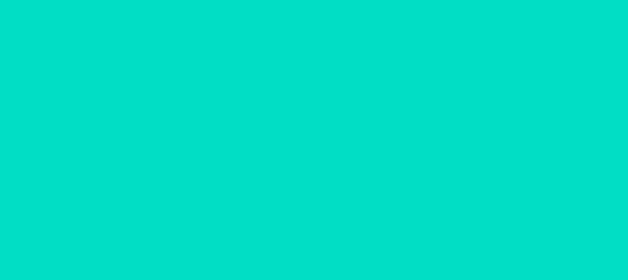 Color #01DEC5 Robin's Egg Blue (background png icon) HTML CSS