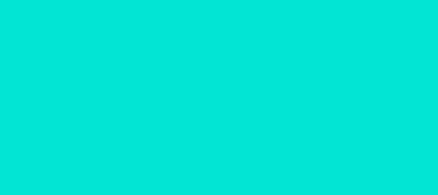 Color #01E6D4 Bright Turquoise (background png icon) HTML CSS