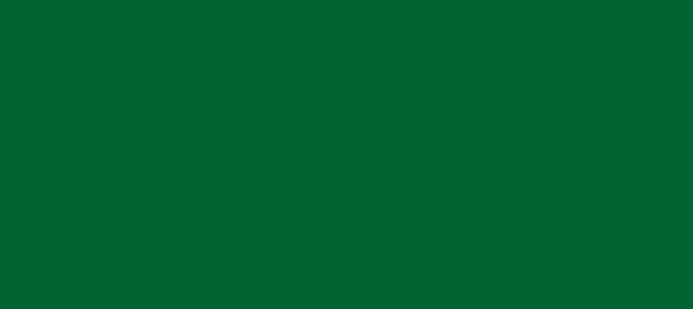 Color #026232 Fun Green (background png icon) HTML CSS