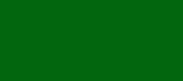 Color #02670D Green (background png icon) HTML CSS