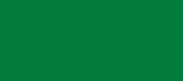 Color #027C3B Dark Spring Green (background png icon) HTML CSS