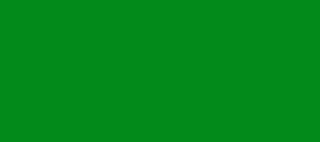 Color #028A1A Green (background png icon) HTML CSS