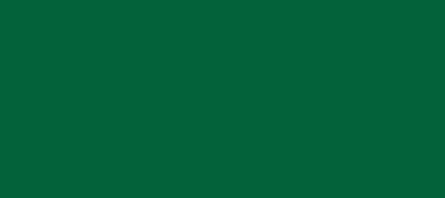 Color #03623A Fun Green (background png icon) HTML CSS