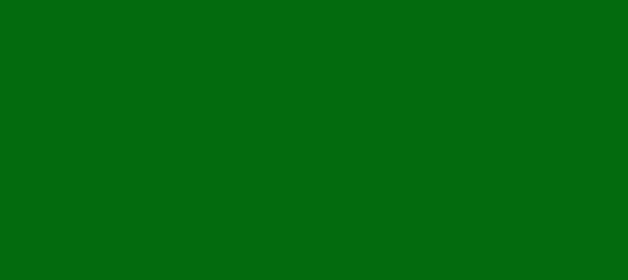 Color #036B0E Green (background png icon) HTML CSS