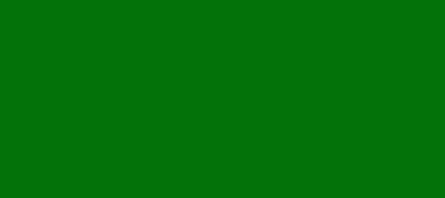 Color #037209 Green (background png icon) HTML CSS