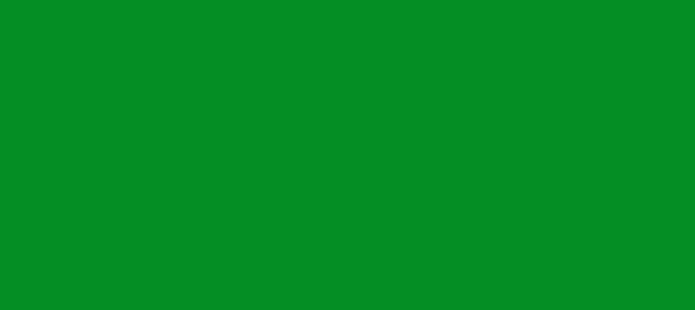 Color #048E24 Forest Green (background png icon) HTML CSS