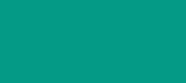 Color #049A86 Persian Green (background png icon) HTML CSS