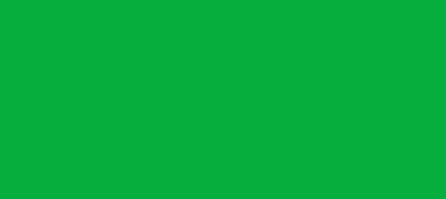 Color #06AF3D Dark Pastel Green (background png icon) HTML CSS
