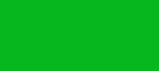 Color #06B81D Dark Pastel Green (background png icon) HTML CSS