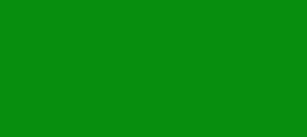 Color #078E0E Islamic Green (background png icon) HTML CSS