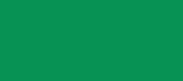 Color #079254 Shamrock Green (background png icon) HTML CSS