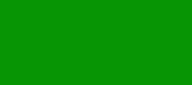 Color #079504 Islamic Green (background png icon) HTML CSS