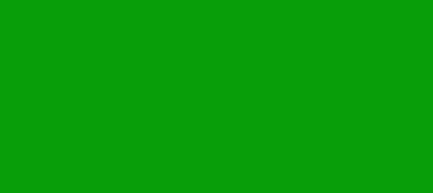 Color #079E0A Islamic Green (background png icon) HTML CSS