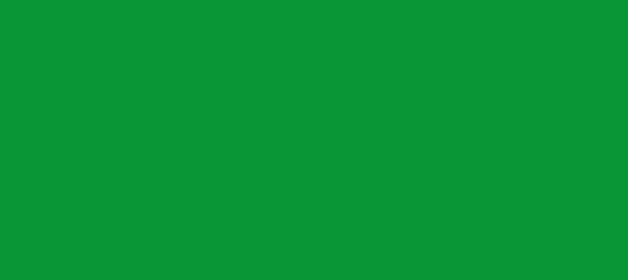 Color #089636 Pigment Green (background png icon) HTML CSS