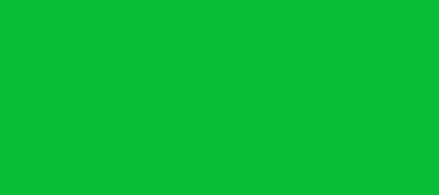 Color #08BE39 Dark Pastel Green (background png icon) HTML CSS