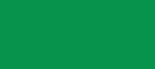 Color #09934A Pigment Green (background png icon) HTML CSS