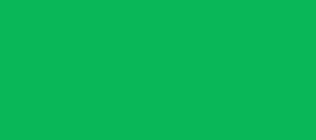 Color #09B758 Pigment Green (background png icon) HTML CSS