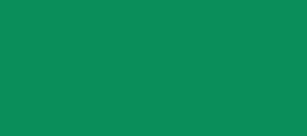 Color #0A8E5A Shamrock Green (background png icon) HTML CSS