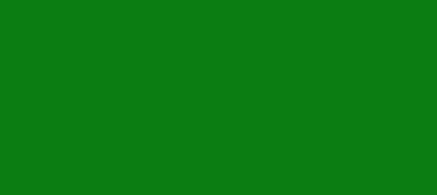 Color #0B7D12 Green (background png icon) HTML CSS