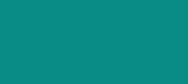 Color #0B8B88 Dark Cyan (background png icon) HTML CSS