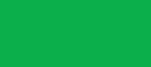 Color #0BAF4B Pigment Green (background png icon) HTML CSS
