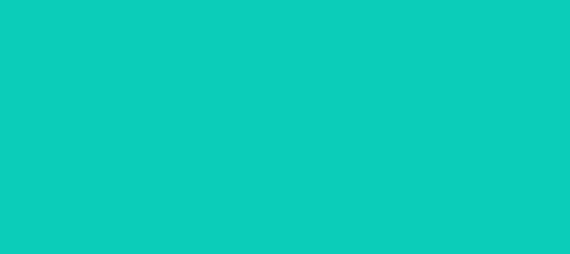 Color #0BCDB9 Robin's Egg Blue (background png icon) HTML CSS