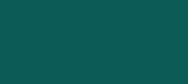 Color #0C5B57 Mosque (background png icon) HTML CSS