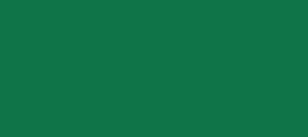 Color #0C7448 Dark Spring Green (background png icon) HTML CSS