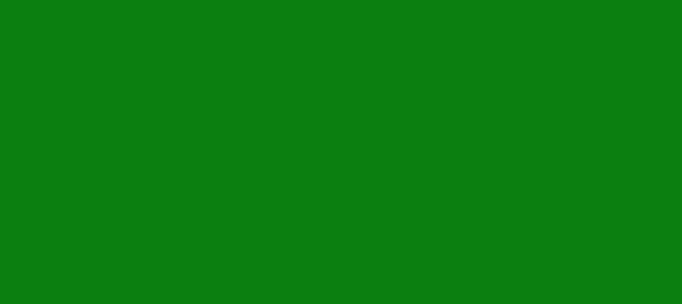 Color #0C7F10 Green (background png icon) HTML CSS