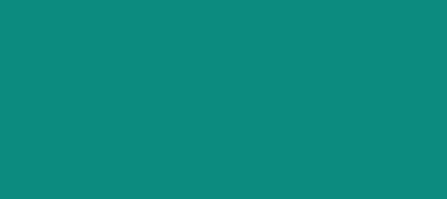 Color #0C8B7F Teal (background png icon) HTML CSS