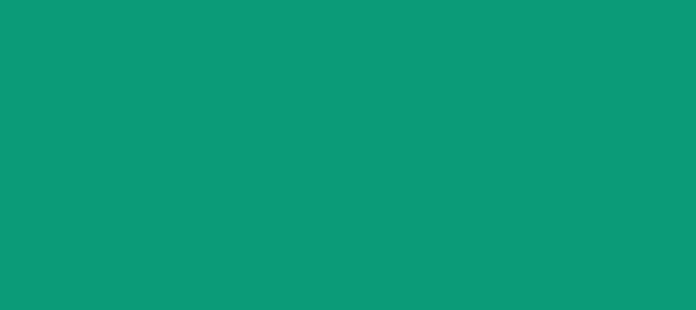 Color #0C9B78 Free Speech Aquamarine (background png icon) HTML CSS