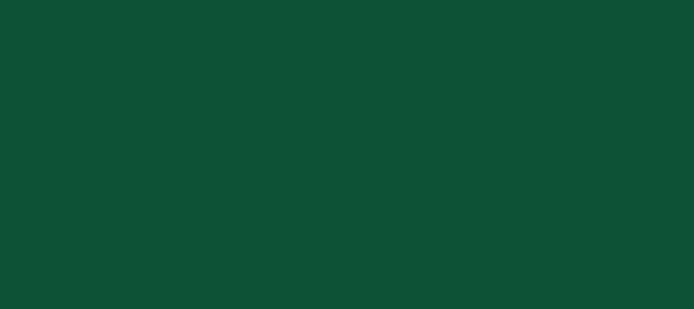 Color #0D5137 County Green (background png icon) HTML CSS