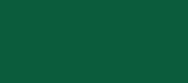 Color #0E5C3E Fun Green (background png icon) HTML CSS