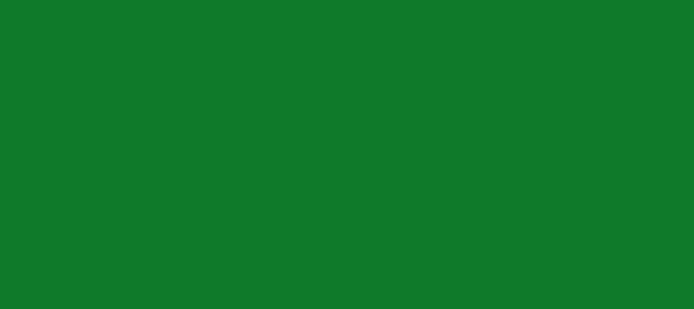 Color #0E7A26 Camarone (background png icon) HTML CSS