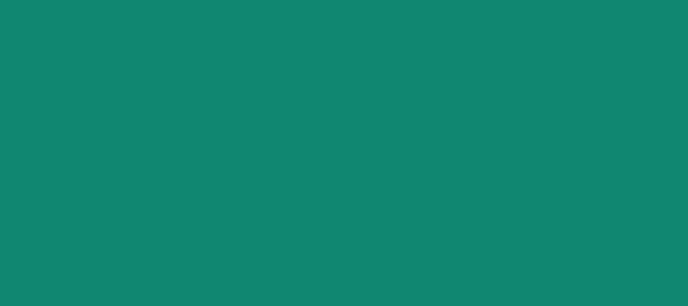 Color #0E886F Elf Green (background png icon) HTML CSS