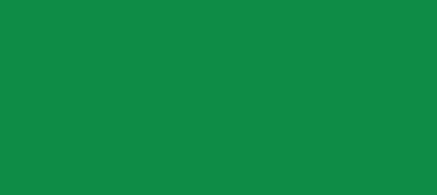 Color #0E8C46 Salem (background png icon) HTML CSS