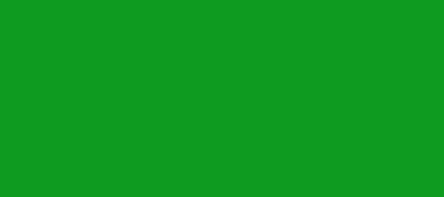 Color #0E9B20 Forest Green (background png icon) HTML CSS